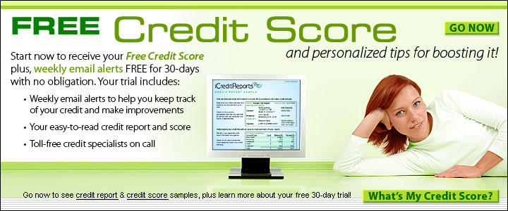 Credit Report Tax Lien